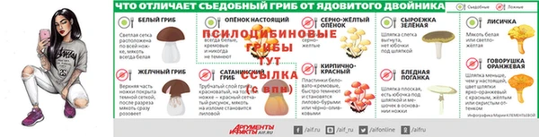 а пвп мука Вязьма
