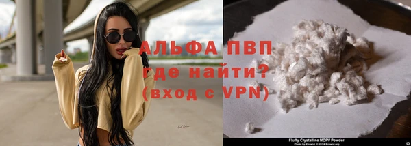 PSILOCYBIN Вяземский