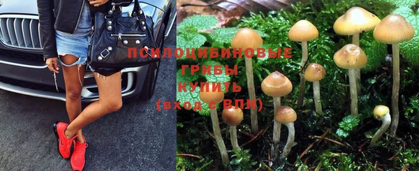гидропоника Вязники