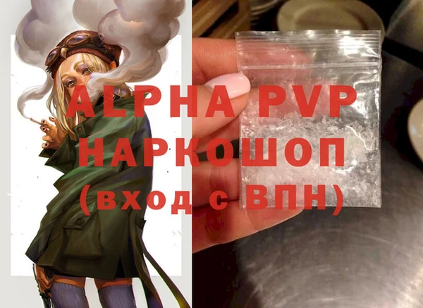 PSILOCYBIN Вяземский