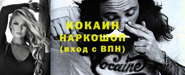 PSILOCYBIN Вяземский