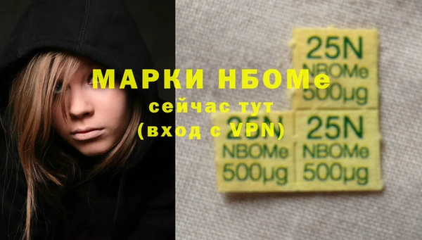 PSILOCYBIN Вяземский