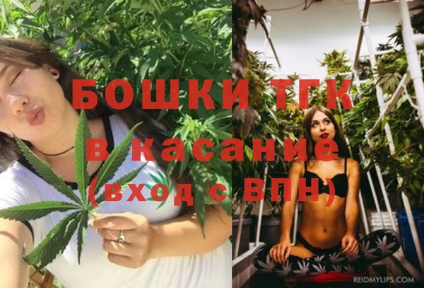 PSILOCYBIN Вяземский