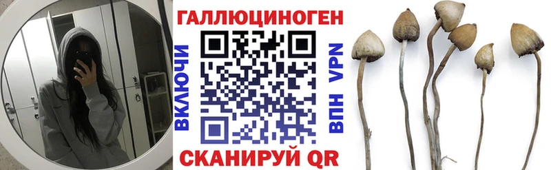 Галлюциногенные грибы мицелий  Купить закладки  Россошь 